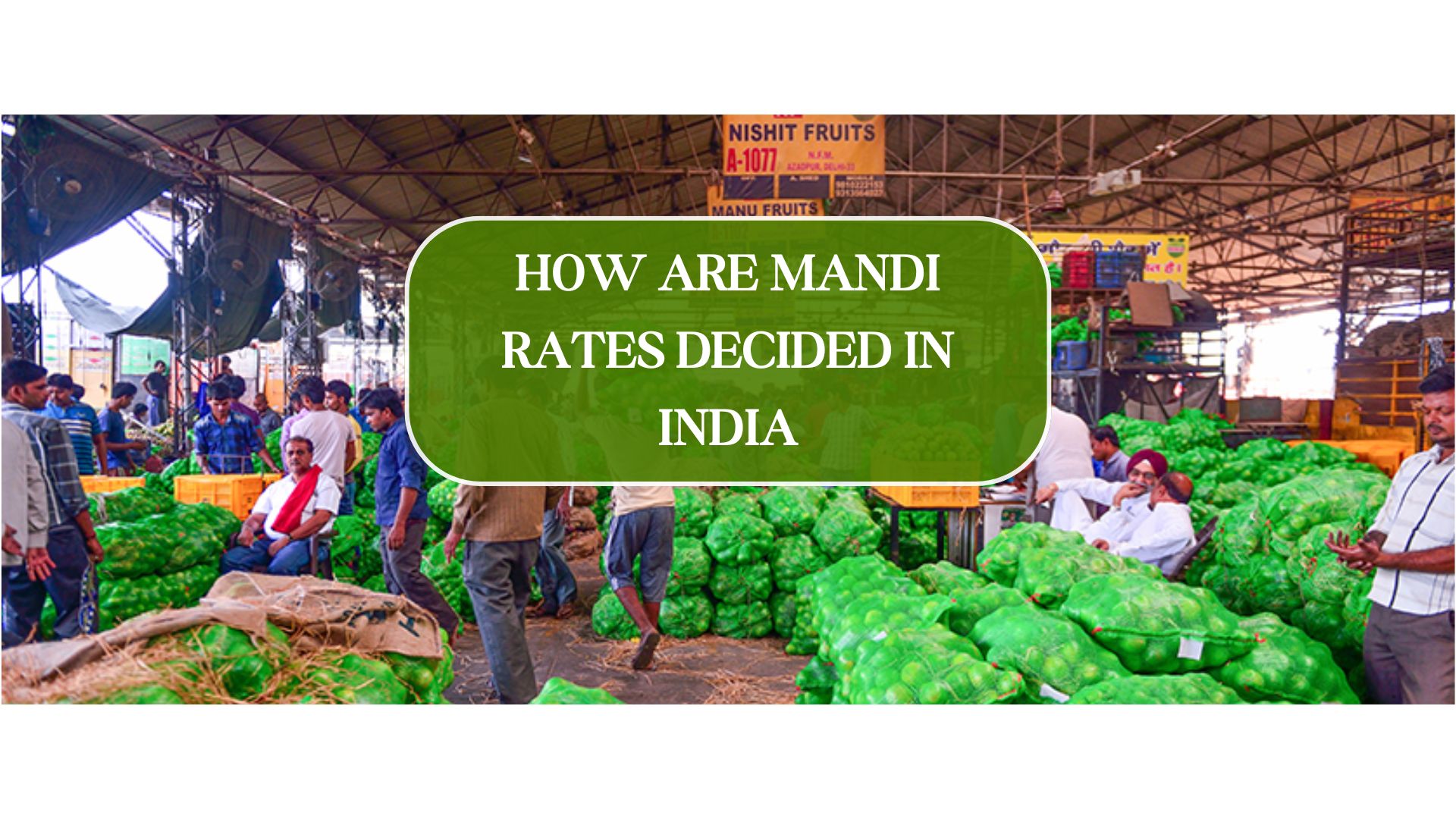 Understanding How Mandi Rates are Decided | A Complete Guide