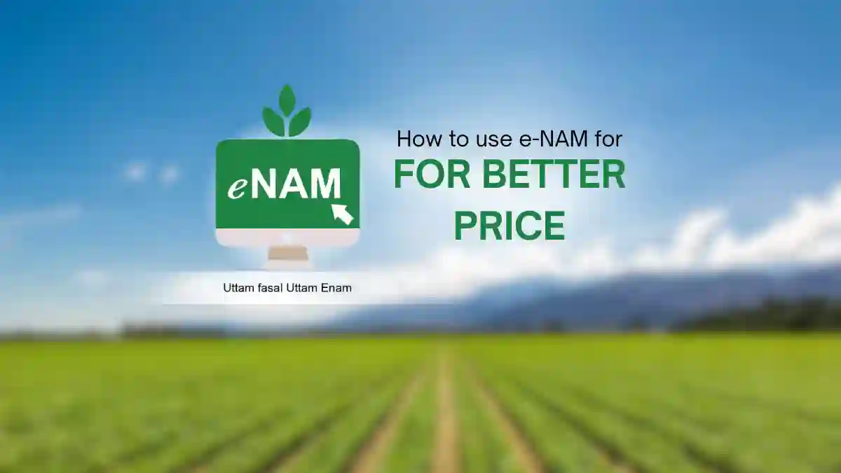 Using e-NAM for Better prices: A farmer’s Guide!