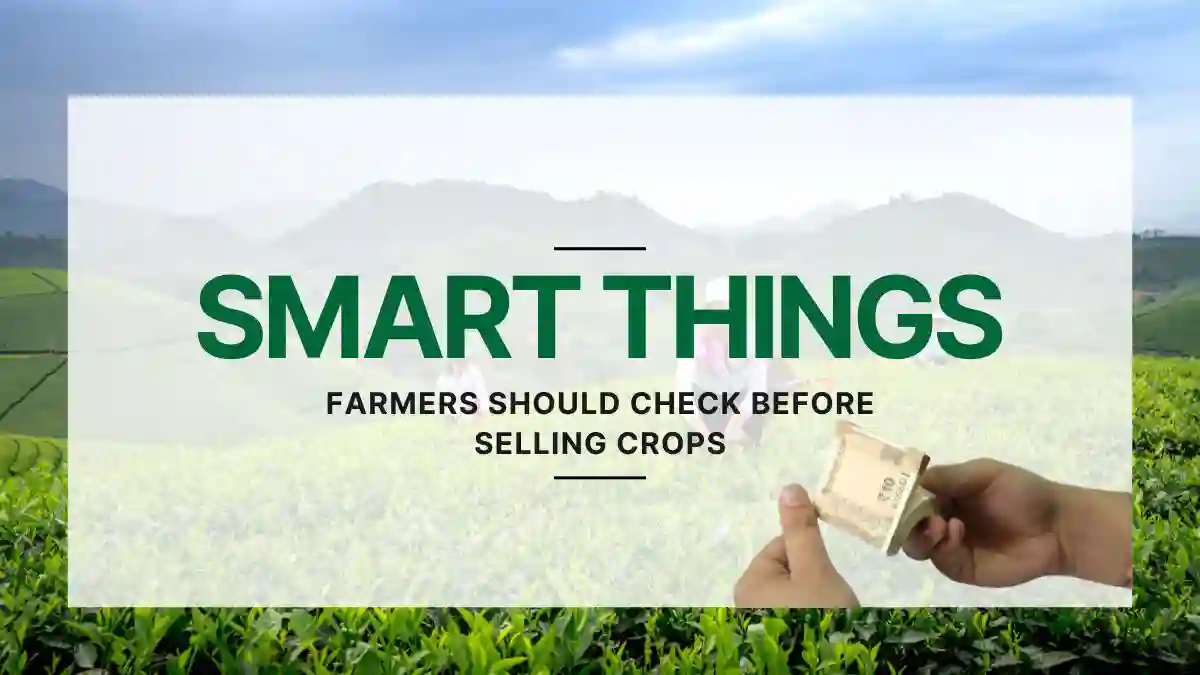 7 Smart Factors to be Considered by Farmers Selling Crops