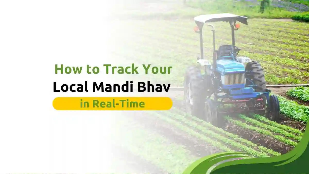 How to Track Your Local Mandi Bhav in Real-Time