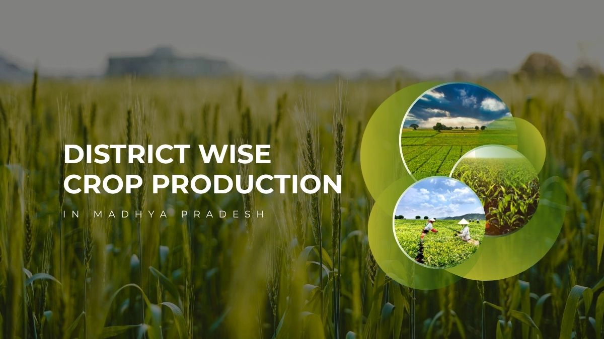 District-wise Crop Production in Madhya Pradesh | Know Your State