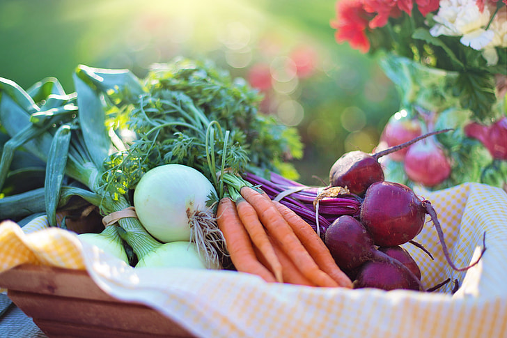 How to Grow and Sell Organic Vegetables in Local Mandis