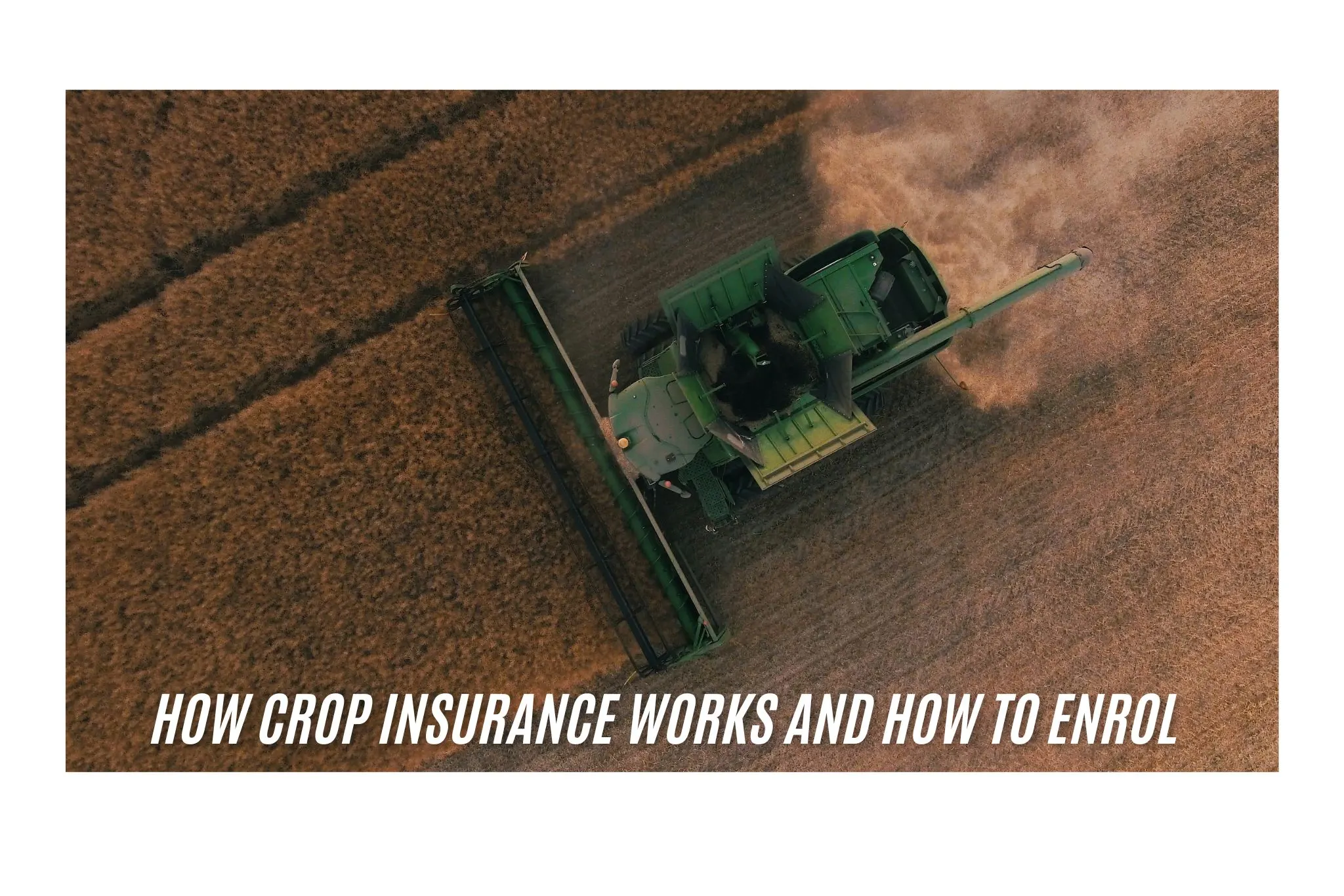 Crop Insurance