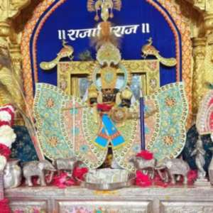 Piyush Suryavanshi Piyush Suryavanshi