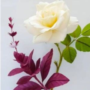Hemant Kumar