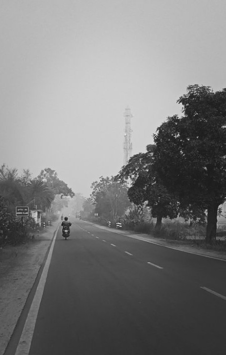 জঙ্গলমহল