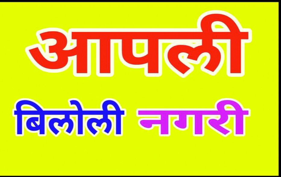 आपली बिलोली नगरी