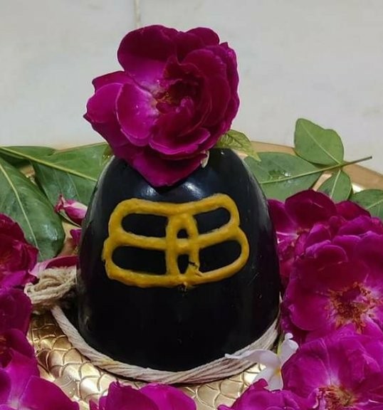 Kisanlaljoshi3777@gmail.com