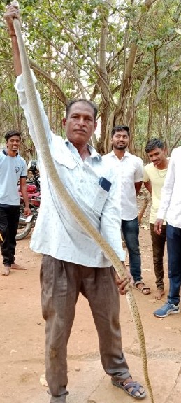 ಗದಗ್ ಜಿಲ್ಲಾ ಸ್ನೇಕ್ ರಹ್ಮನ್ 8095782386