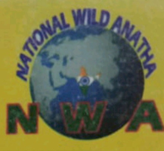 NWA NEWS