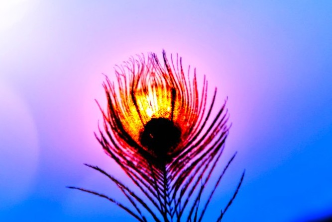 Manoj Datta Photography