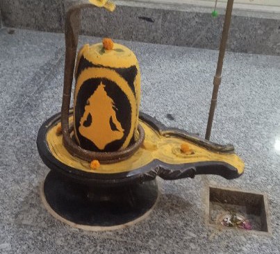 प्रमोद चतुर्वेदी भाजपा अध्यक्ष