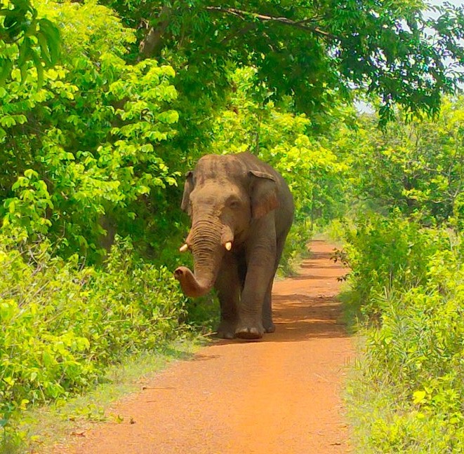 ঝাড়গ্রাম আপডেট