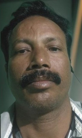 Dipubarman