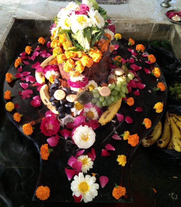 महाकाल भक्त हर हर महादेव