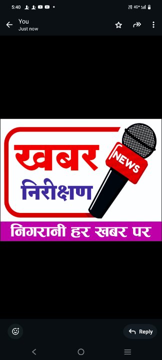 पत्रकारिकता