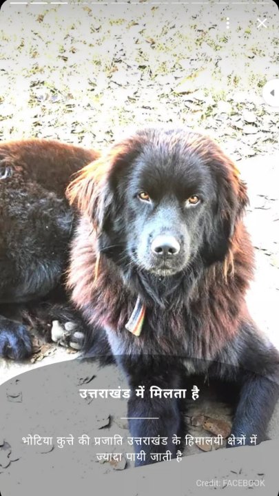 Kamlesh Kumar Kunjam