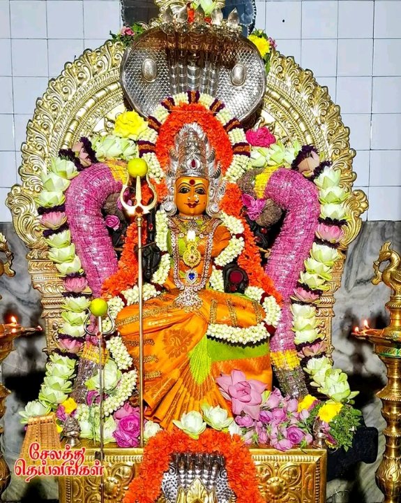 திவ்யா தஷ்விகா