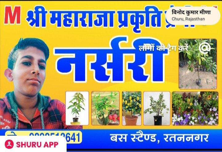 विनोद कुमार मीणा