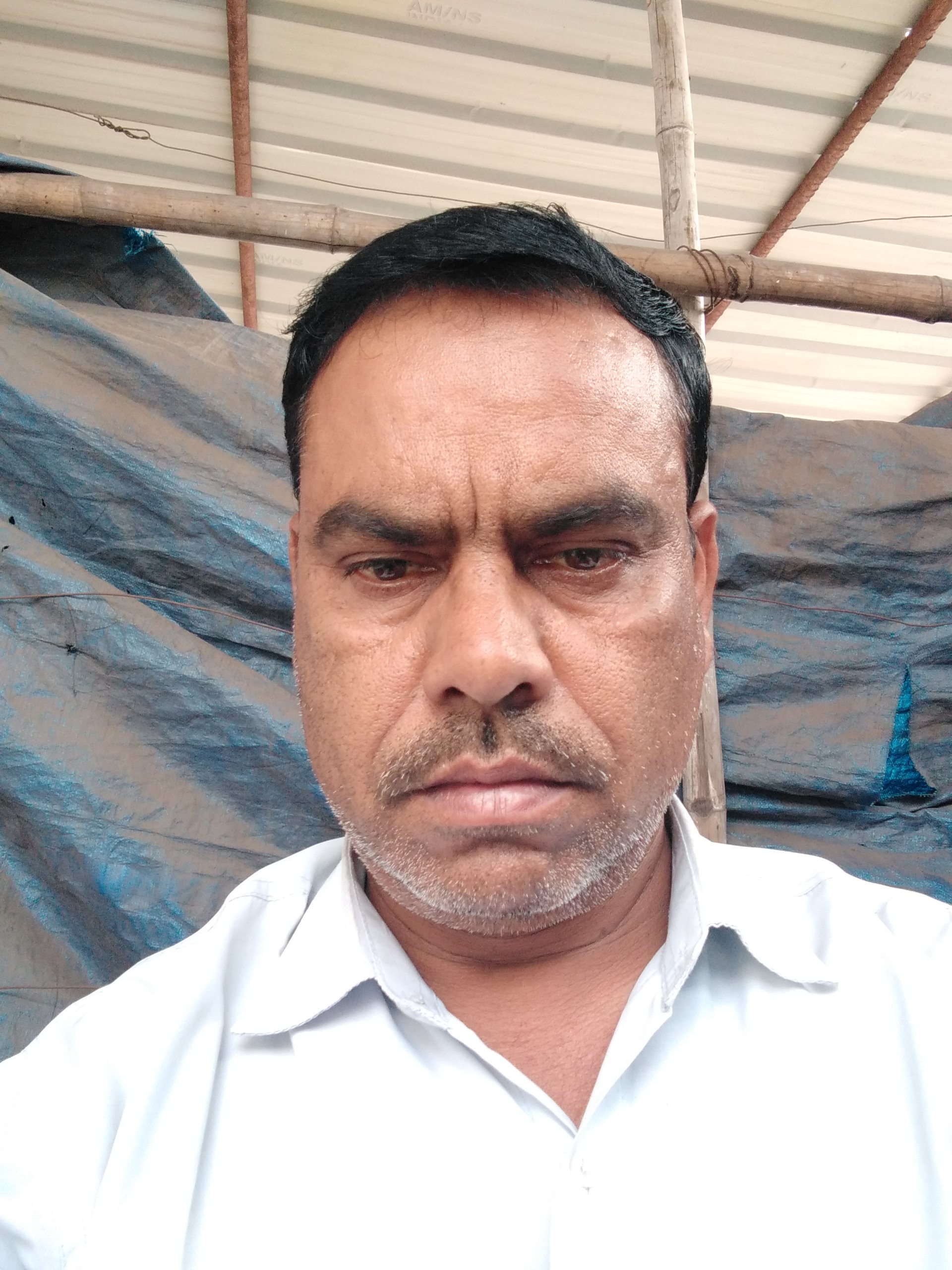 पत्रकार