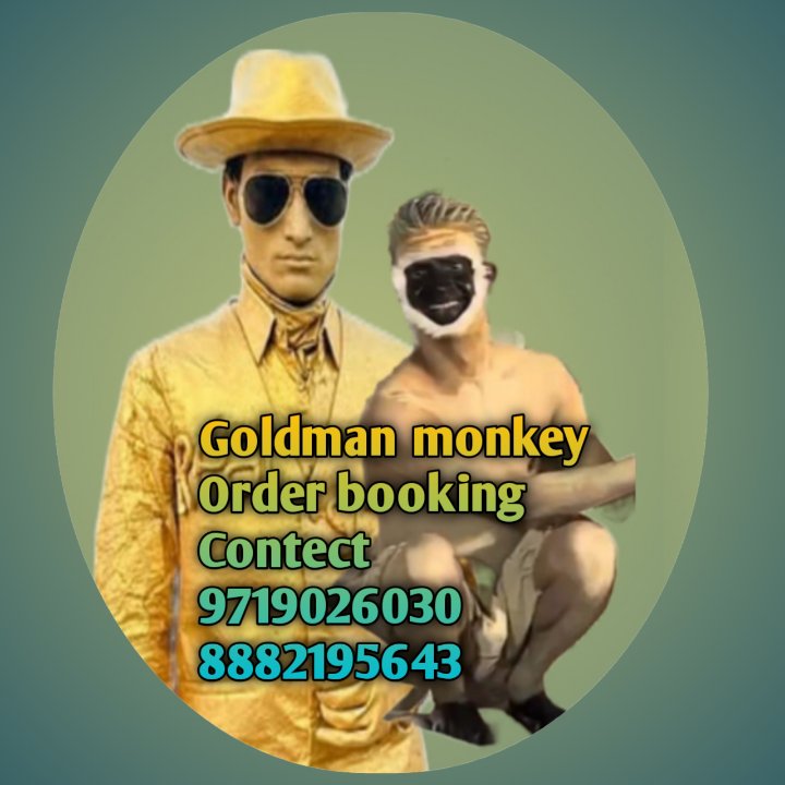 Goldnmen Monkey