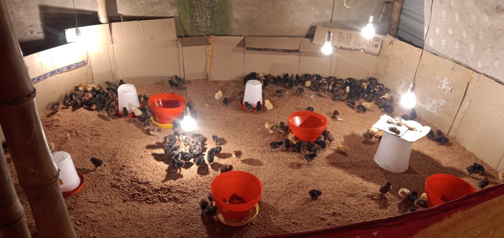 User9629moin Ansari Dhn Jh