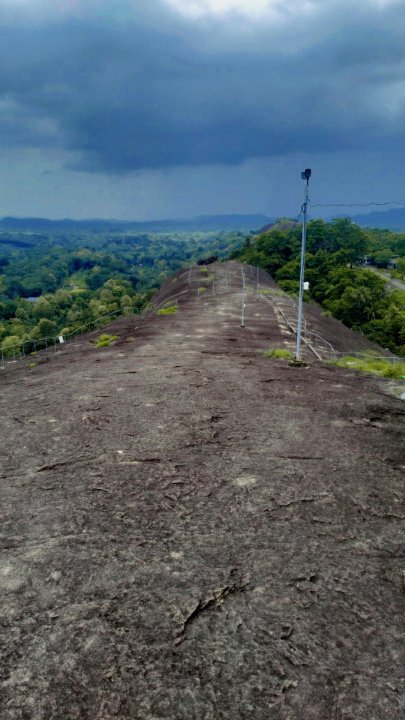 রাজু রায়