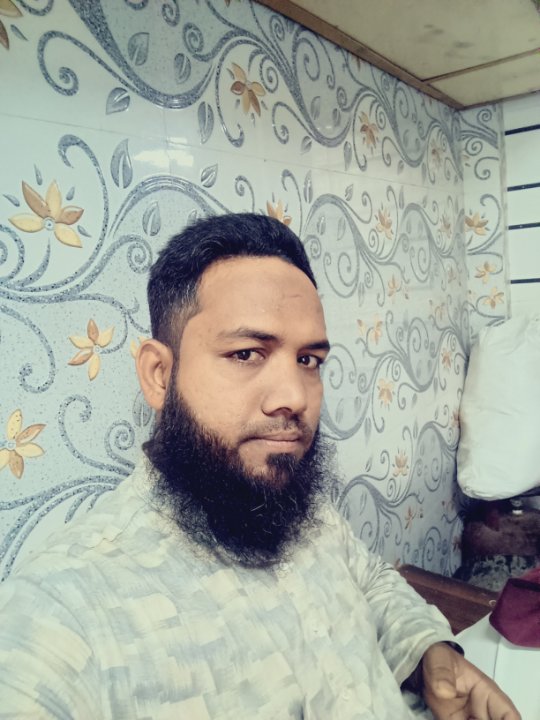 Mirza Shahalam Electriction
