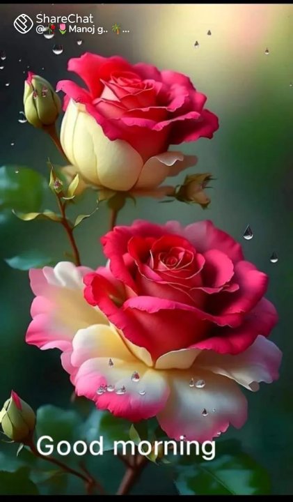 User7795-H.L.KUNJAM.