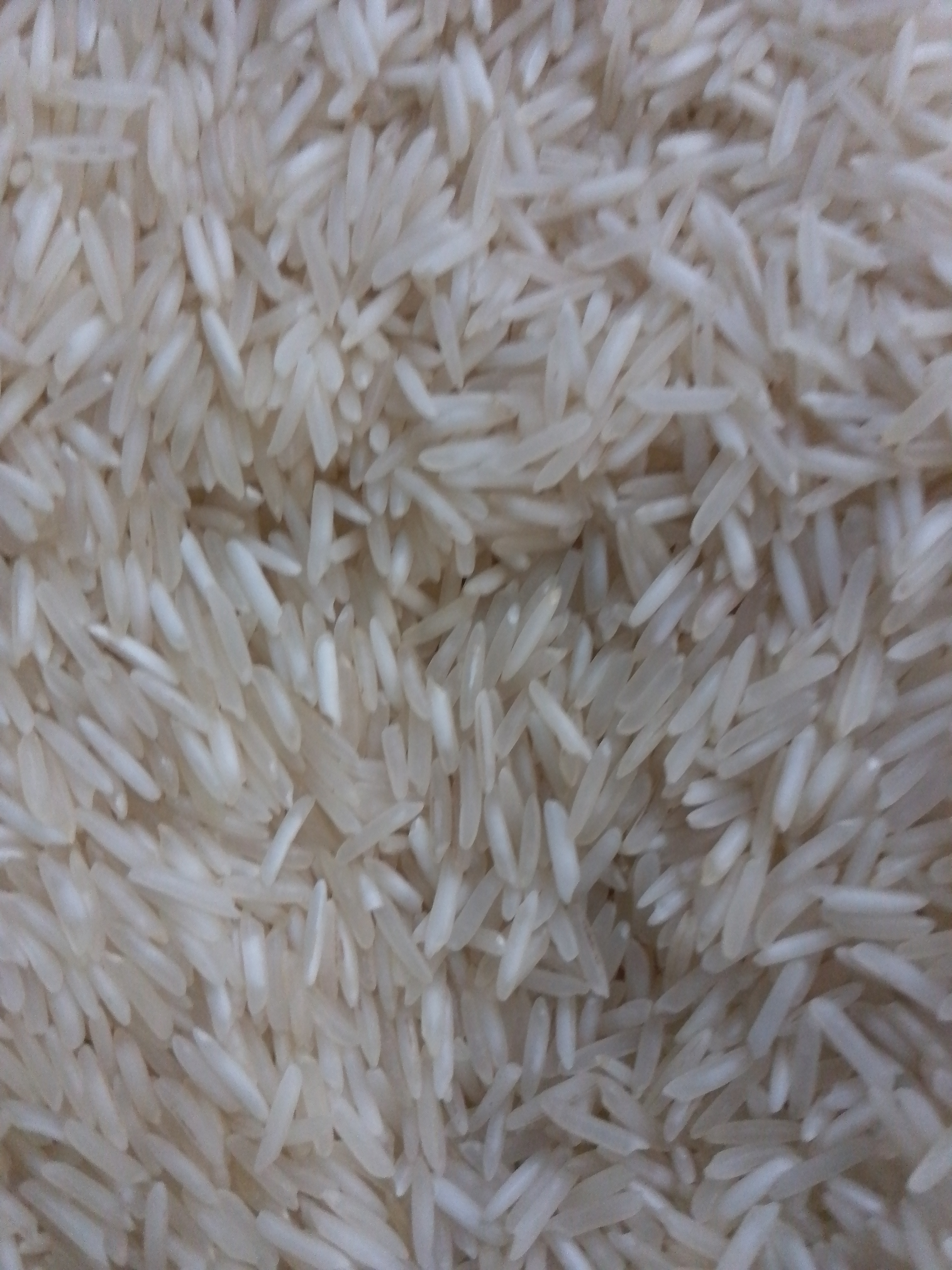 Raushan kumar paswan