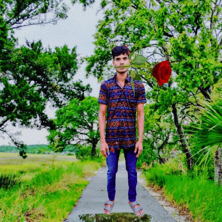 Akash Kumar Akash Kumar