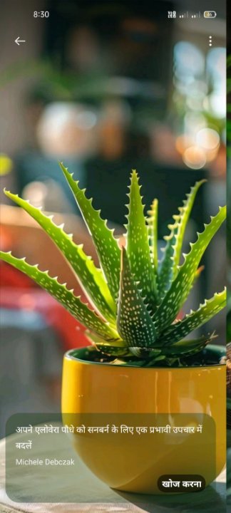 Jasvant sagar Jasvant