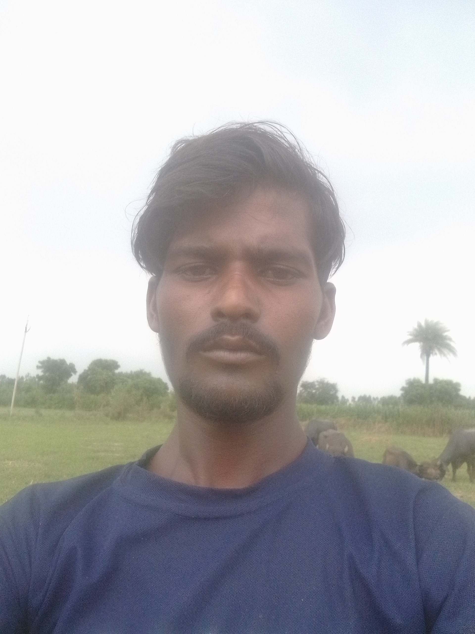 यूजर708741095