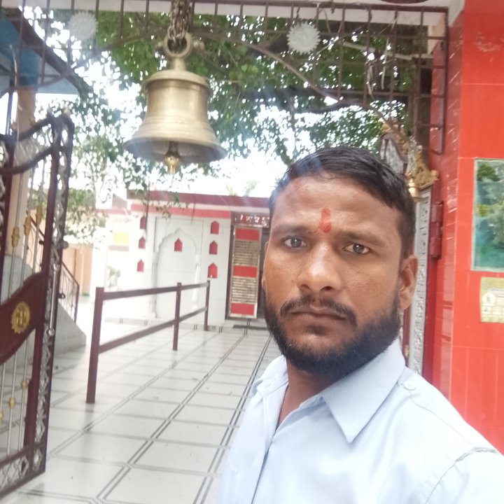 शैलेंद्र यादव