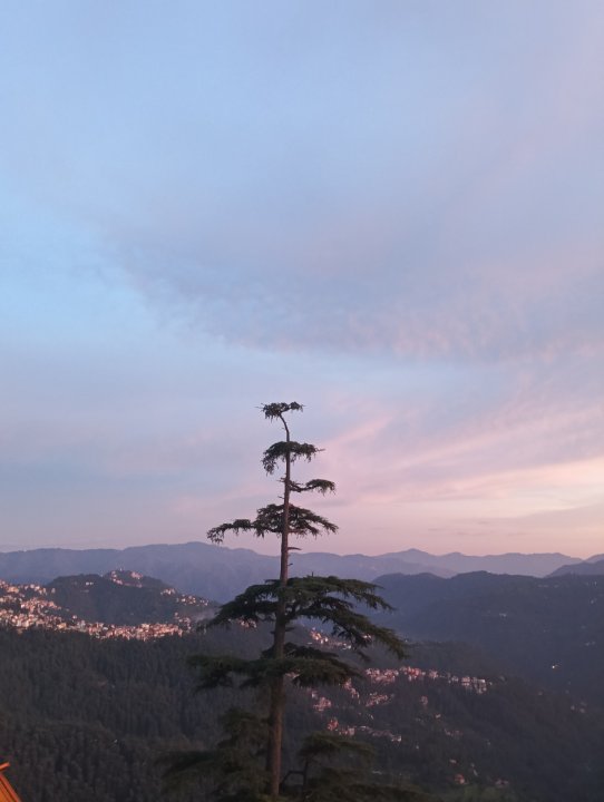 Jharkhand Mediya News