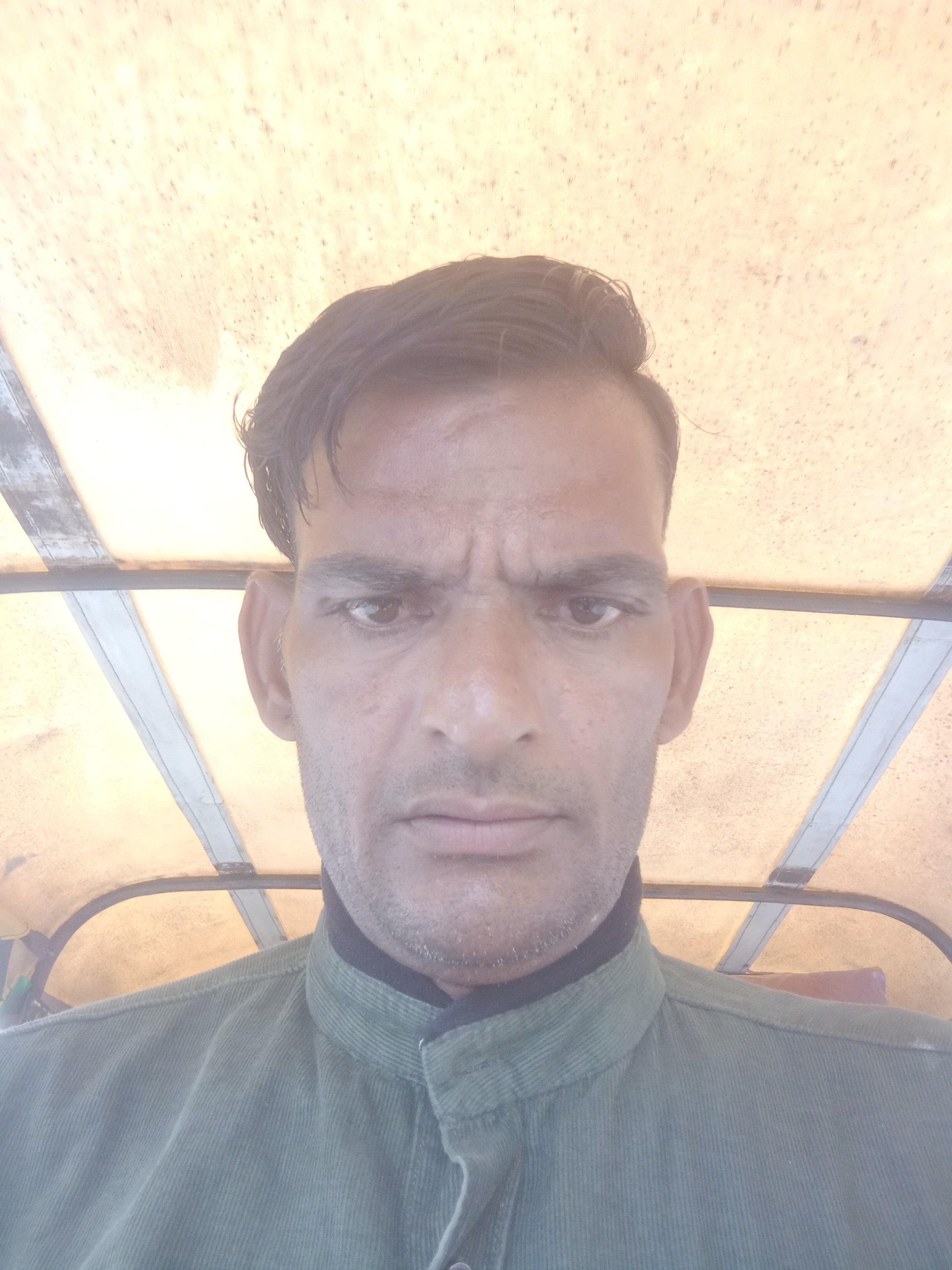 Firoz Shaikh