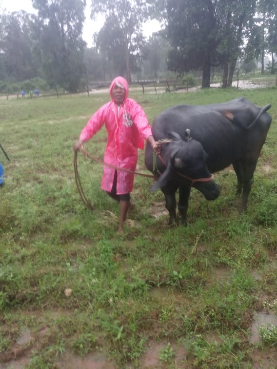 भगचन्द्