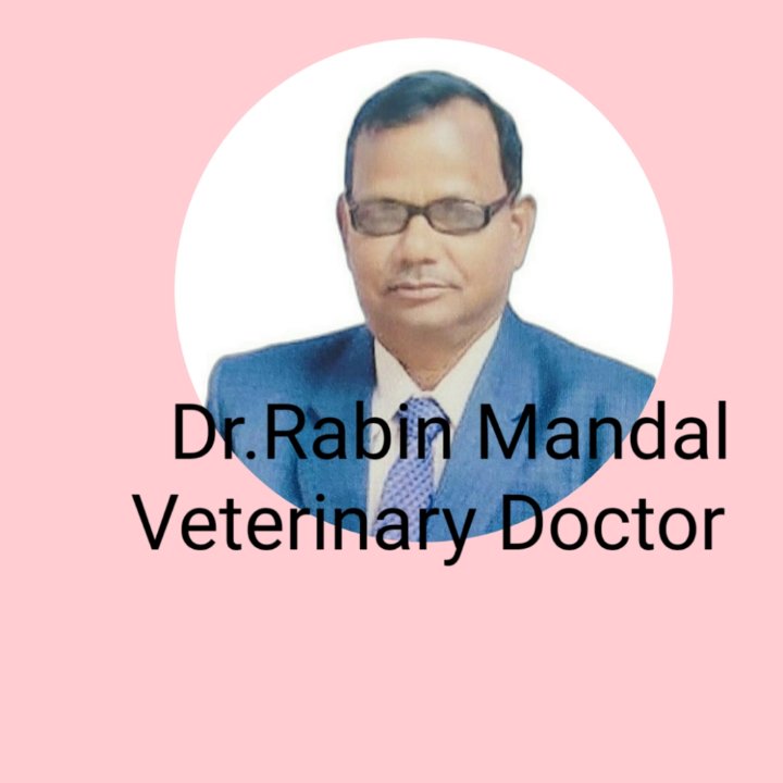 ডাঃ রবীন মণ্ডল,vs