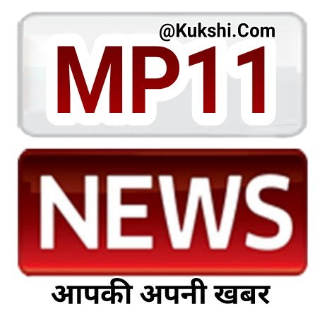 Mp 11 News