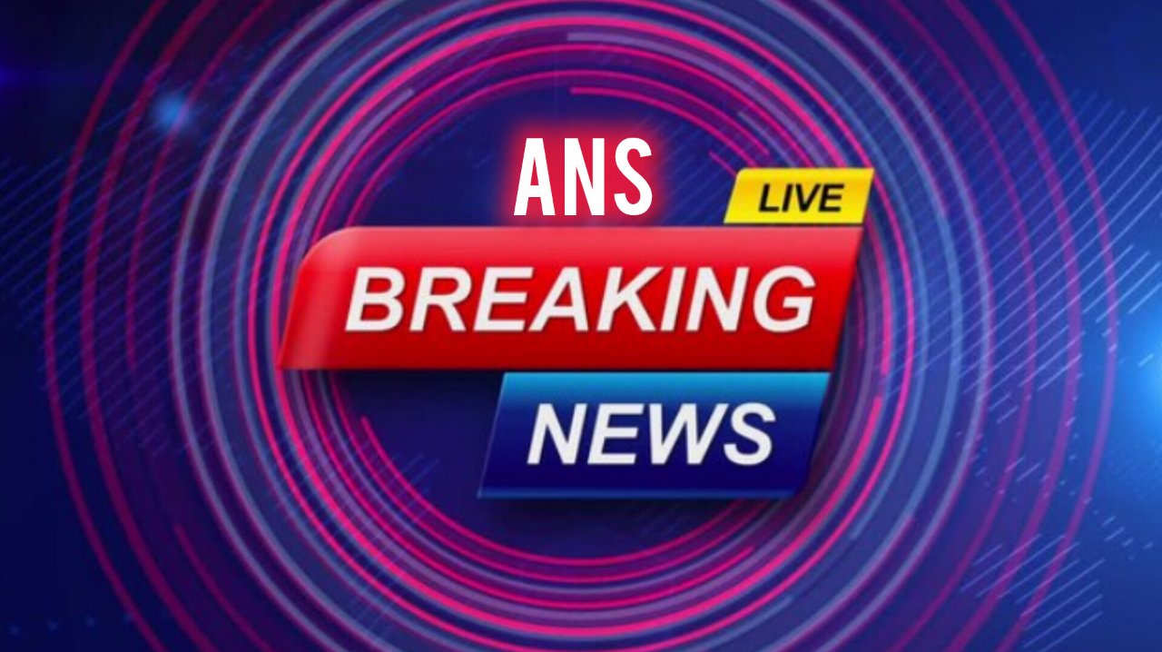 ಎ.ಏನ್.ಎಸ್ ನ್ಯೂಸ್