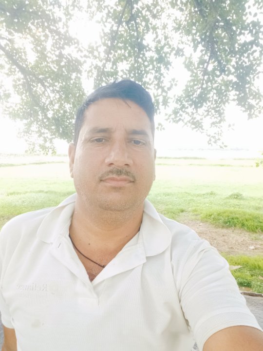 Pintutiwari Pintutiwari