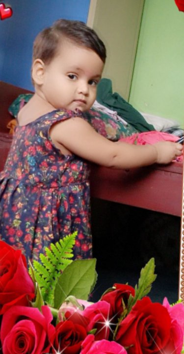 पी के तिवारी पत्रकार