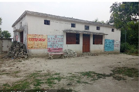 राजीव तलवार जूनियर