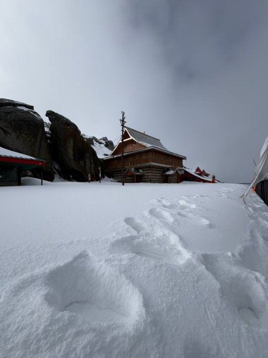 पत्रकार