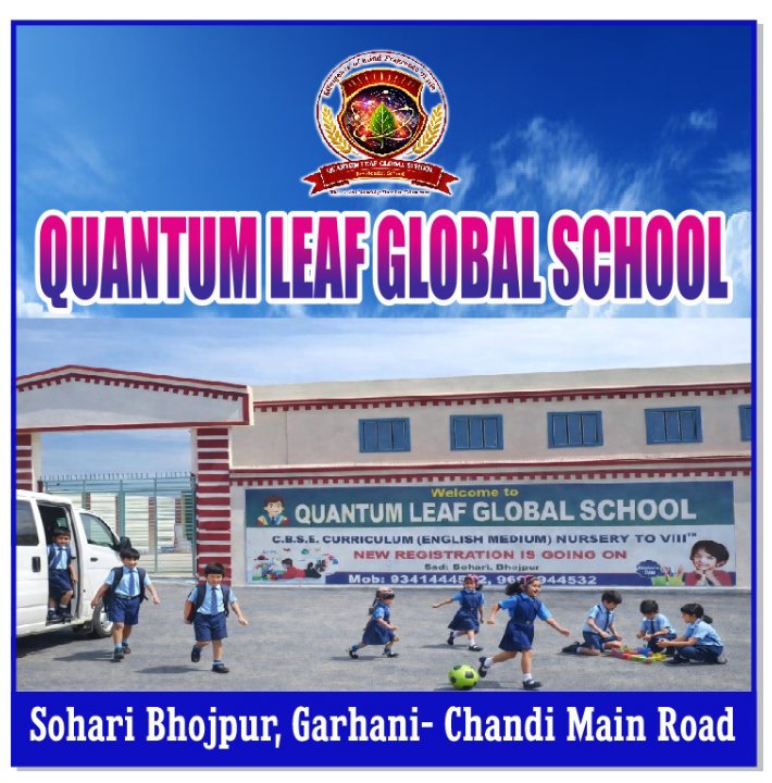 Quantum Leaf Global School