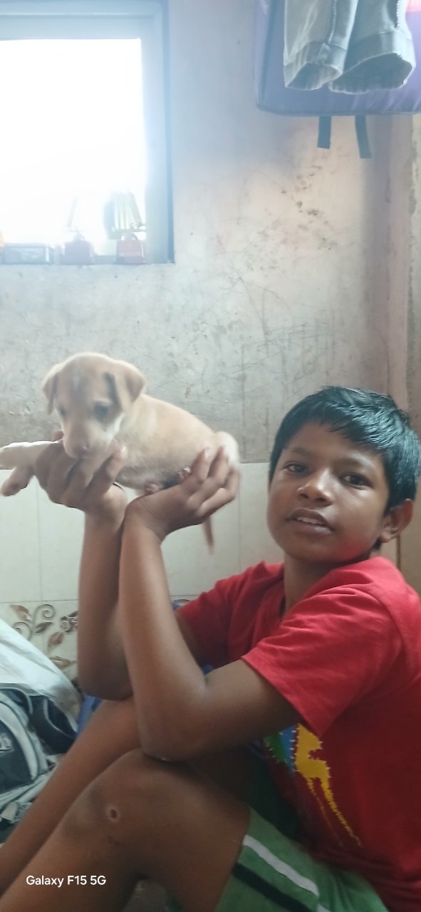 Arya yadav