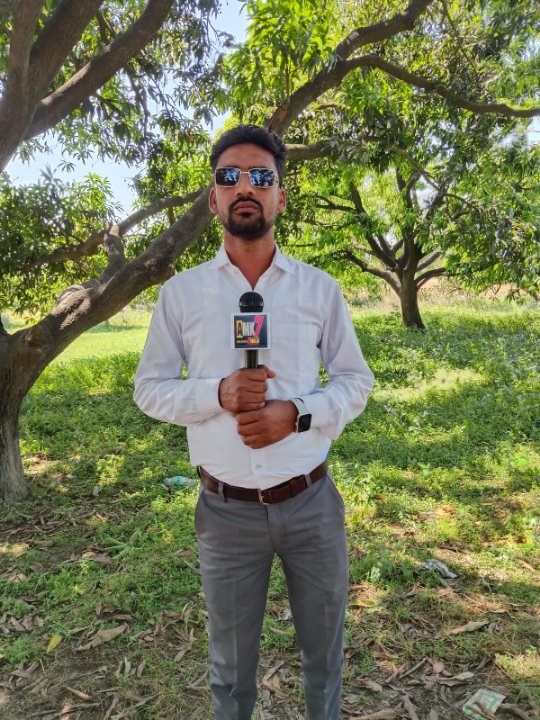 Gulfam Saifi prees repotar