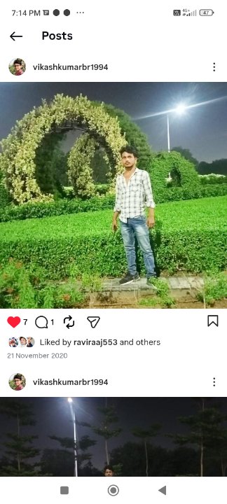 Bikash Kumar