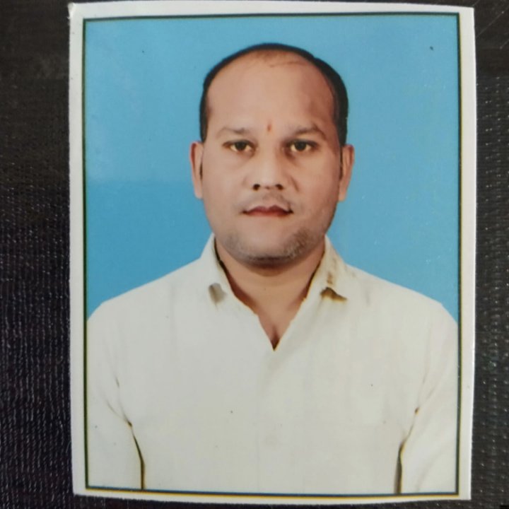 विकास पाल