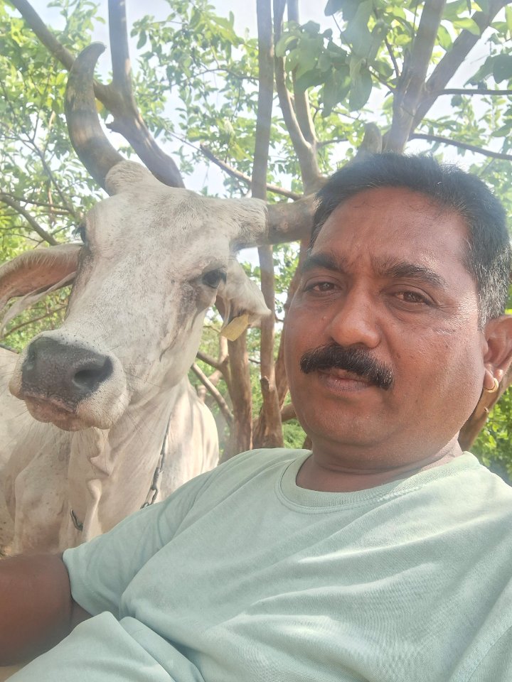 OUR JAMBUGHODA